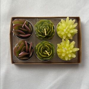Set of Succulent Shaped tea light candles - 6pk